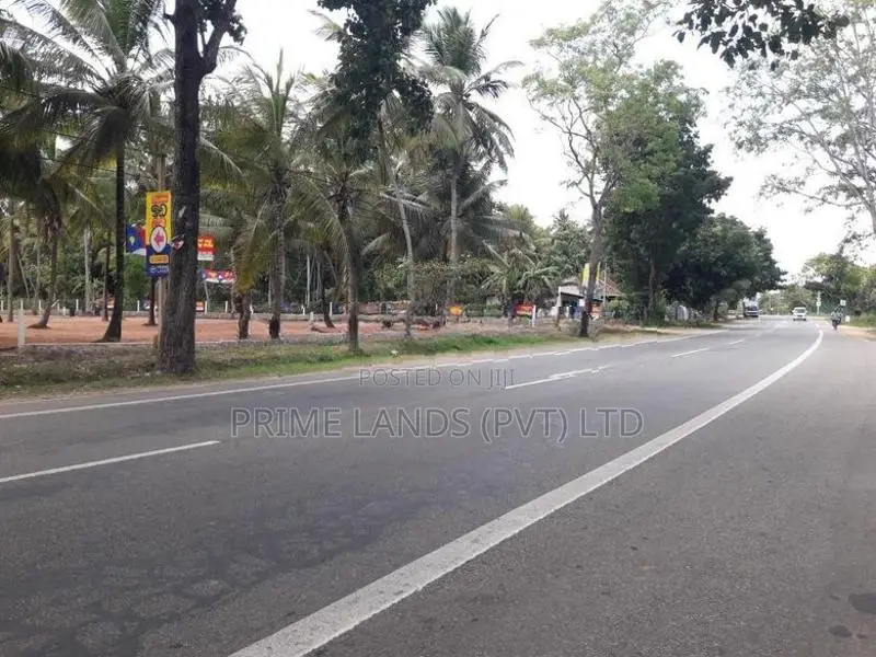 ව්‍යාපාරික බිම් කොටසක් විකිනීමට බලල්ල