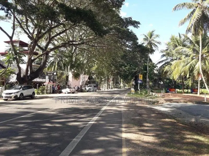 ව්‍යාපාරික බිම් කොටසක් විකිනීමට බලල්ල