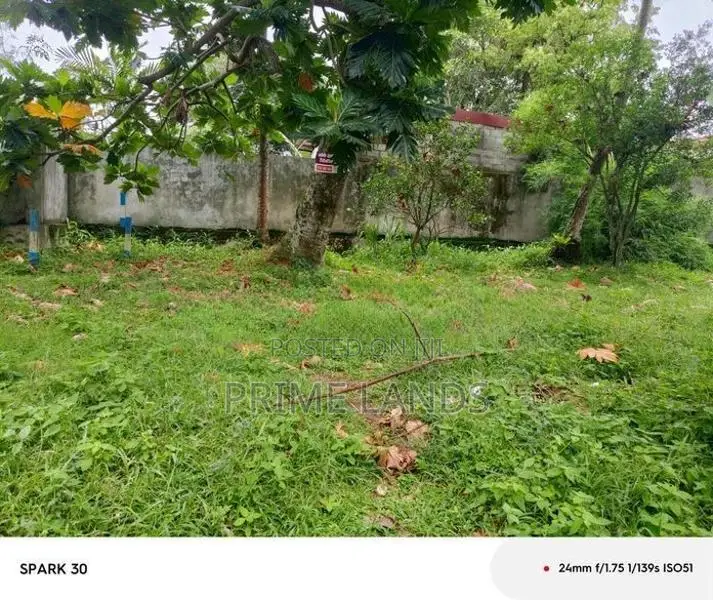 Land for Sale Talahena