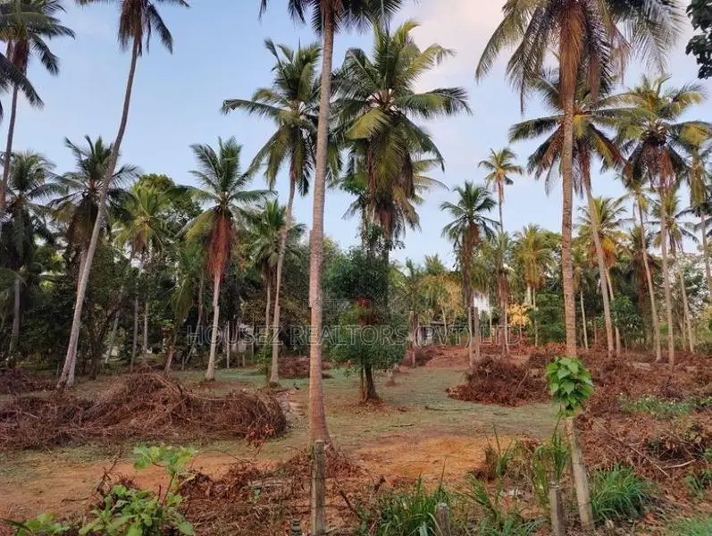 Prime Coconut Land for Sale – Mirigama
