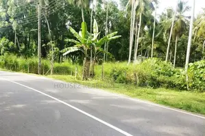 Prime Coconut Land for Sale – Mirigama