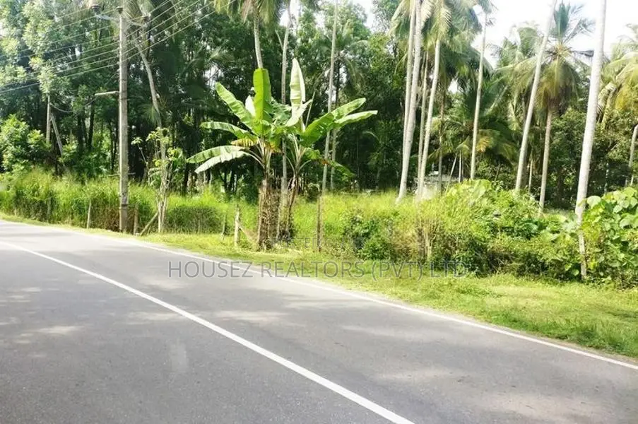 Prime Coconut Land for Sale – Mirigama