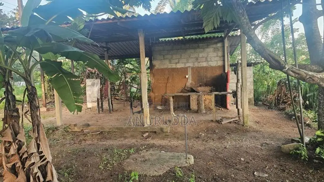 Shop for Rent in Dumunnegedara Road