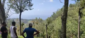 Land for Sale in Haputale