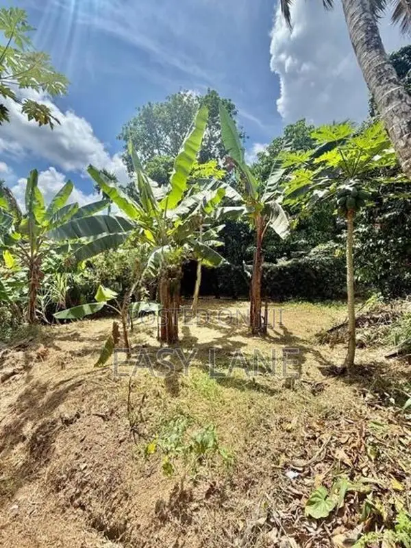 ගොඩගම පාදුක්ක පාරෙන් පර්චස් 13ක වටිනා ඉඩමක් විකිණීමට