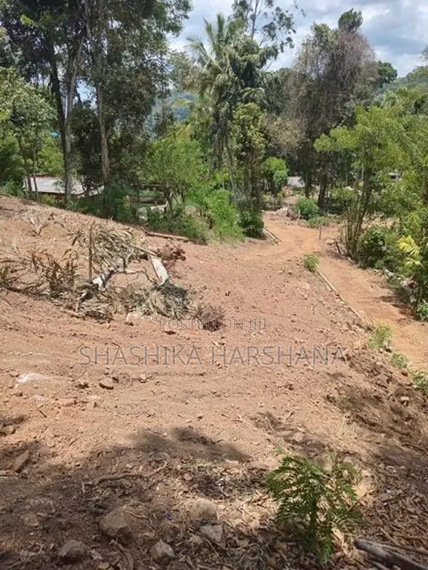 Highly Valuable 18 (9*2) Perch Land For Sale In Hali Ela
