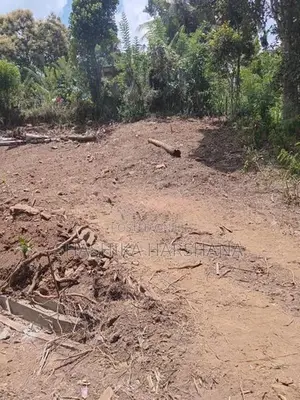 Highly Valuable 18 (9*2) Perch Land For Sale In Hali Ela