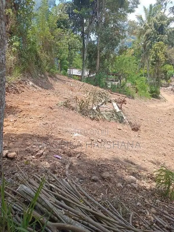 Highly Valuable 18 (9*2) Perch Land For Sale In Hali Ela