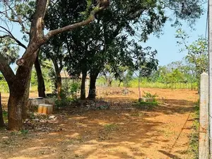 House for Sale at Kankesanthurai