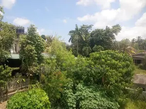 House for Rent in Boralesgamuwa