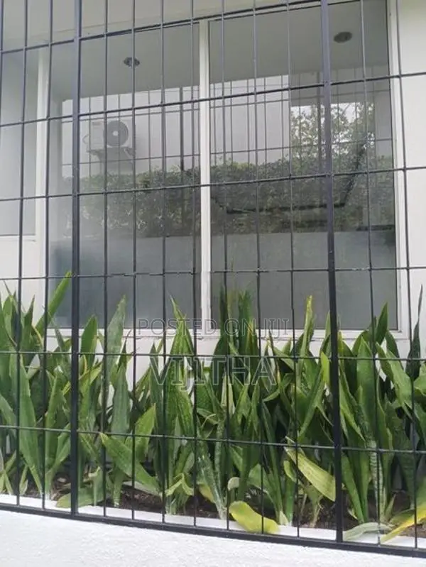 Spatate House for Rent Baddgana