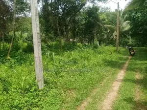 Land for Sale in Polgahawela