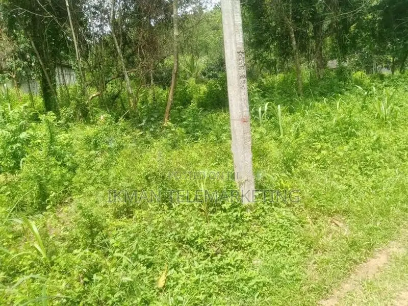 Land for Sale in Polgahawela
