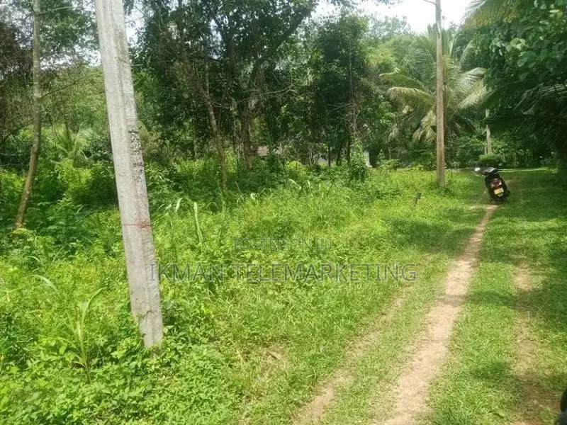 Land for Sale in Polgahawela