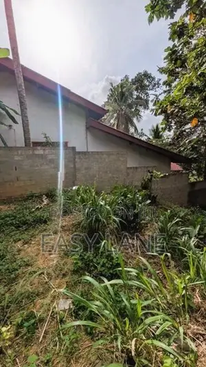කඩවත පරකන්දෙණියෙන් ඉඩමක්