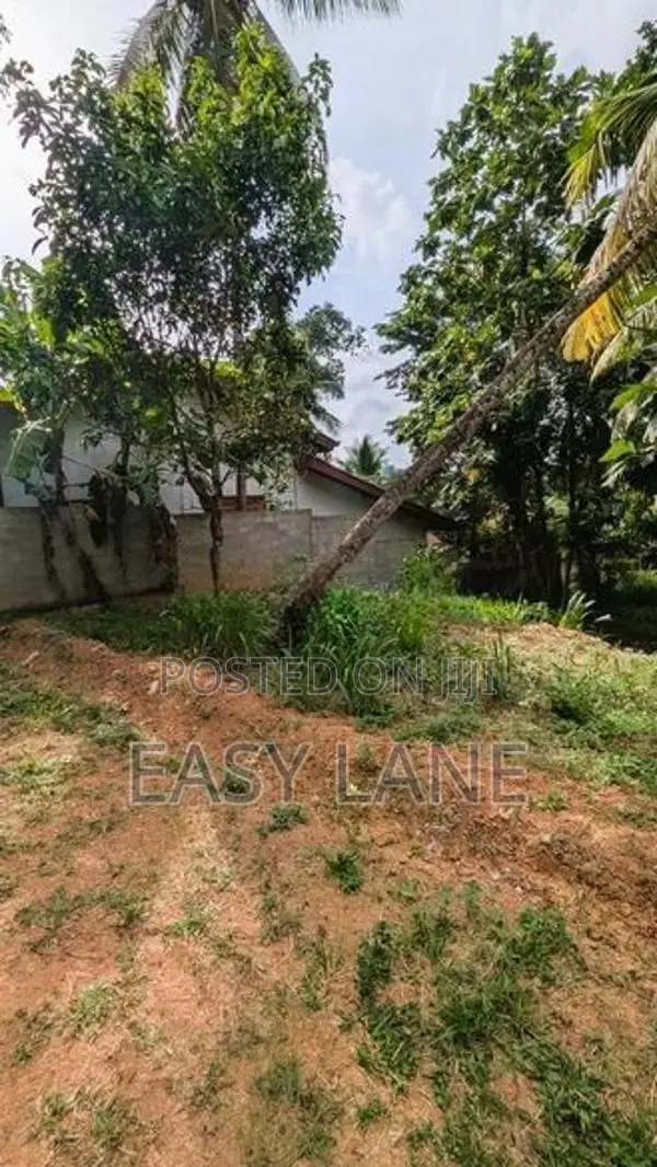 කඩවත පරකන්දෙණියෙන් ඉඩමක්