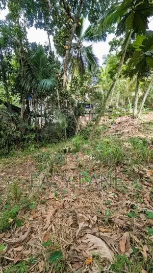 කඩවත පරකන්දෙණියෙන් ඉඩමක්