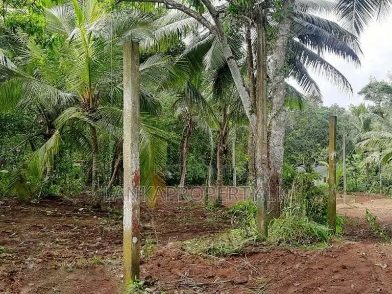 78 Perches of Valuable Land for Sale in Halpe, Mirigama