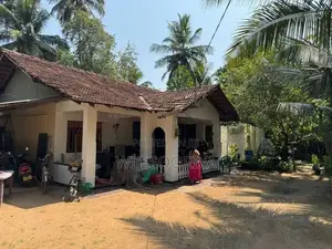 Coconut Land with House for Sale in Chilaw