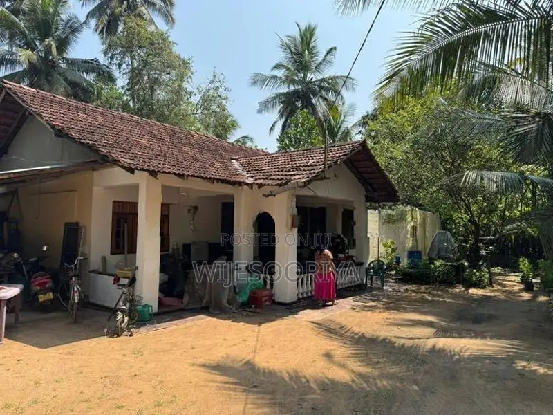Coconut Land with House for Sale in Chilaw