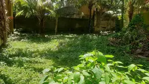 11.4 ph Superb Square Type Bare Land For Sale In Mount Lavinia