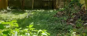 11.4 ph Superb Square Type Bare Land For Sale In Mount Lavinia
