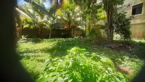 11.4 ph Superb Square Type Bare Land For Sale In Mount Lavinia