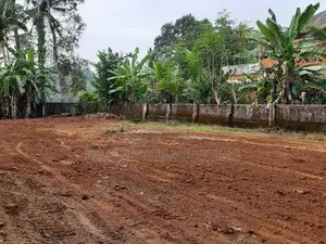 Land for Sale in Nawinna, Janatha Mawatha