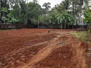Land for Sale in Nawinna, Janatha Mawatha