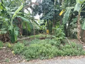 Land for Sale Boralesgamuwa