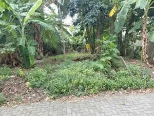 Land for Sale Boralesgamuwa