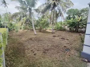 මීගමුව Loyola පාසල අසලින් වටිනා ඉඩමක් විකිණීමට!