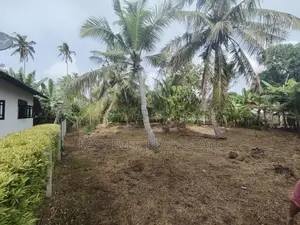 මීගමුව Loyola පාසල අසලින් වටිනා ඉඩමක් විකිණීමට!