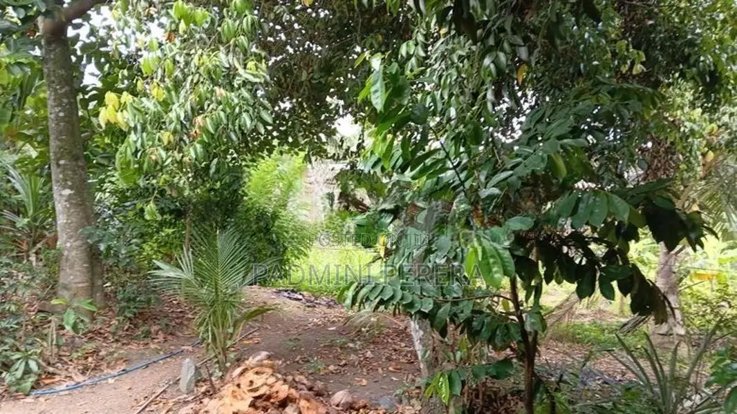 Land for Sale in Arangala Junction