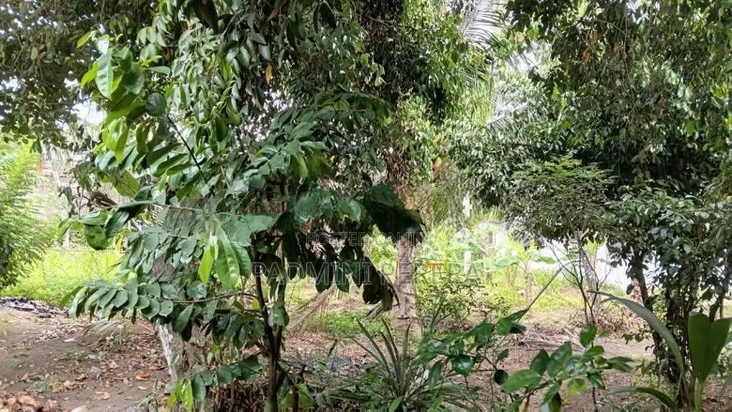 Land for Sale in Arangala Junction