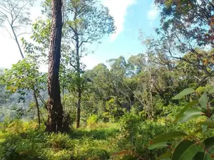 පර්චස් 30 ක අගනා ඉඩමක්....