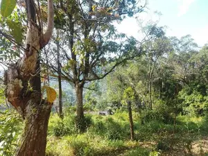 පර්චස් 30 ක අගනා ඉඩමක්....