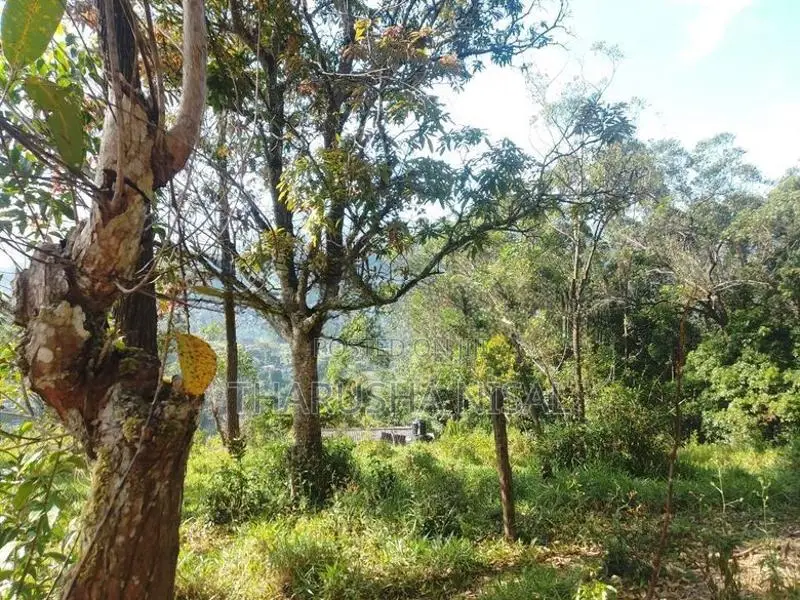 පර්චස් 30 ක අගනා ඉඩමක්....