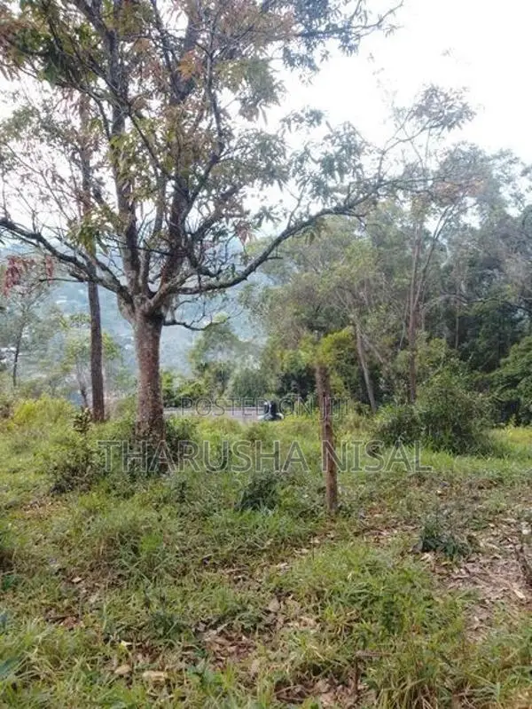 පර්චස් 30 ක අගනා ඉඩමක්....