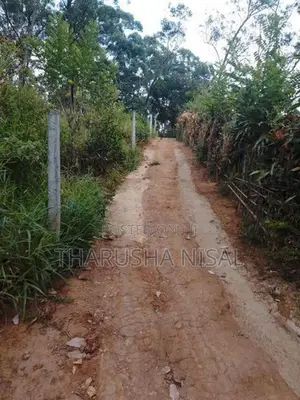 පර්චස් 30 ක අගනා ඉඩමක්....
