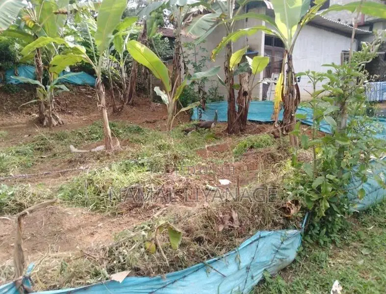 Land For Sale In Kadawatha Webada Road