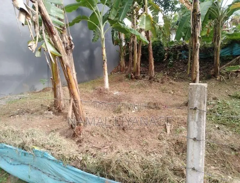 Land For Sale In Kadawatha Webada Road