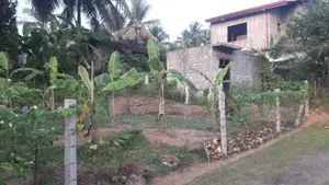 Land For Sale In Kadawatha Webada Road