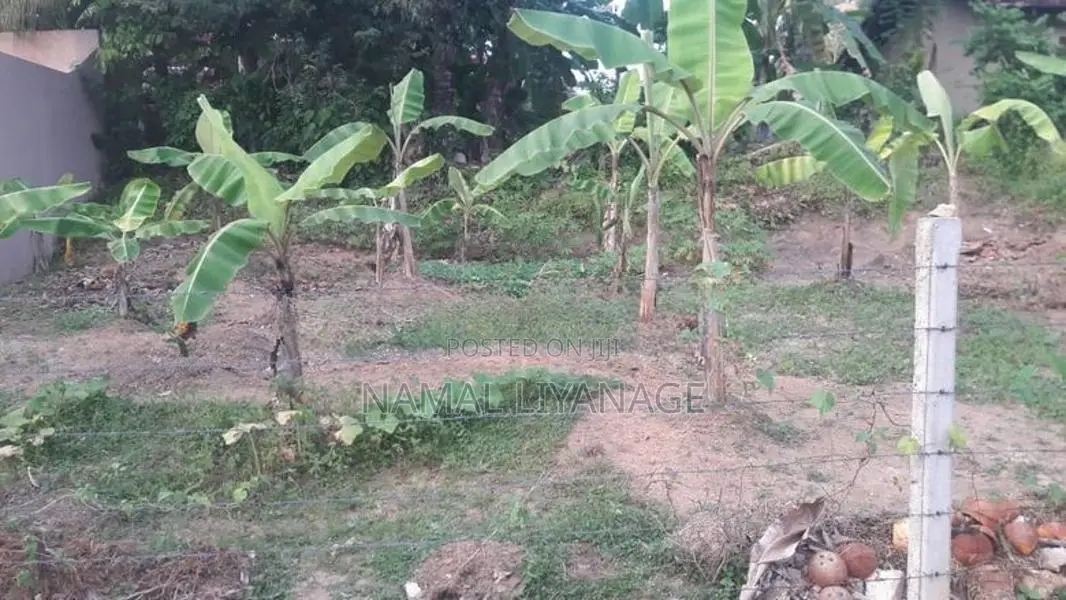 Land For Sale In Kadawatha Webada Road