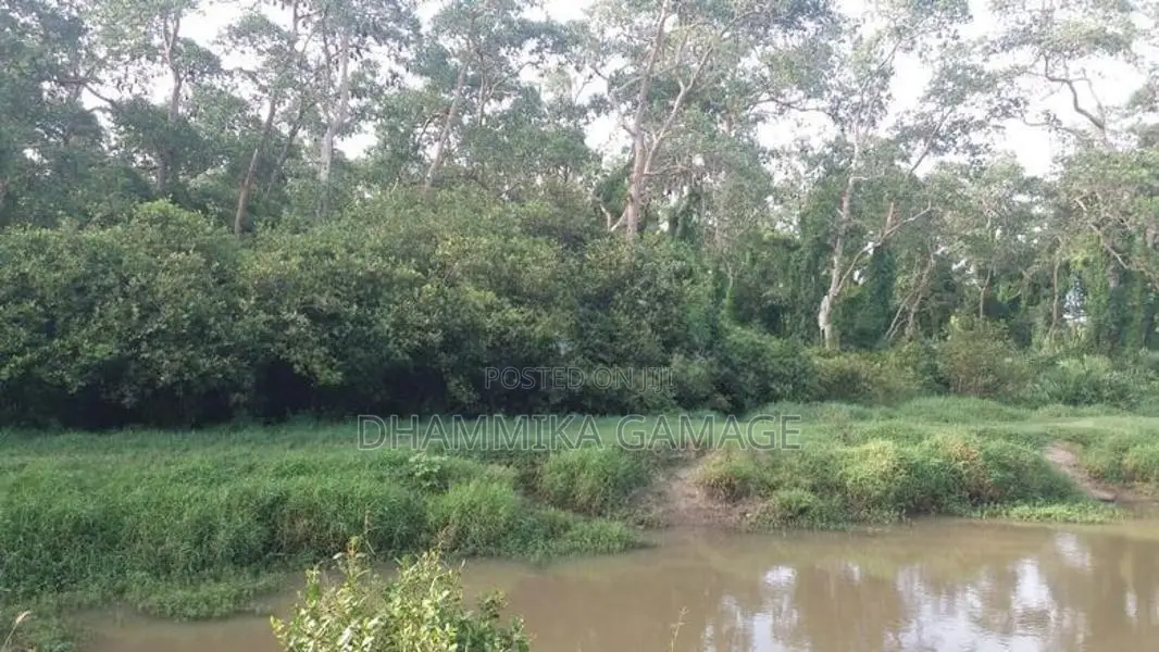 Commercial Land for Sales Ambalanthota