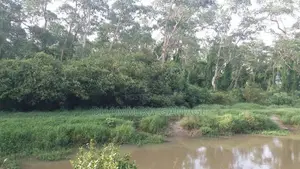 Commercial Land for Sales Ambalanthota