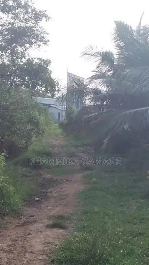 Commercial Land for Sales Ambalanthota