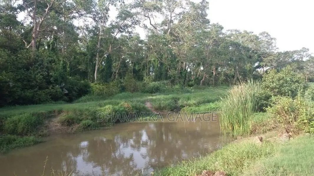 Commercial Land for Sales Ambalanthota