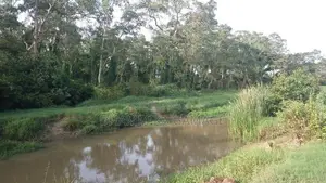 Commercial Land for Sales Ambalanthota