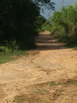 පදිංචියට අගනා ඉඩමක් හම්බන්තොට